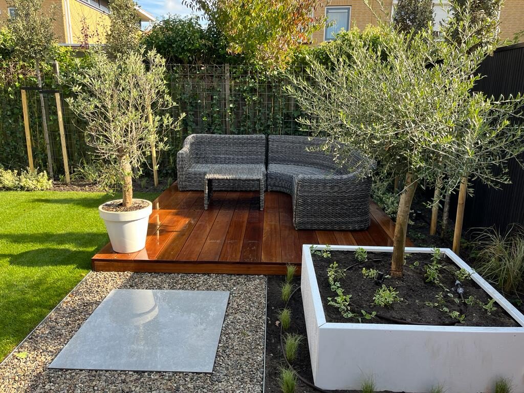 Rieten loungeset op een hardhouten vlonder met olijfbomen in pot en bak